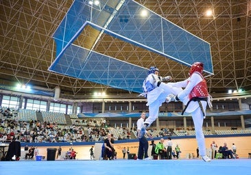 Deportivo Cano se impone en el XIII Open Internacional de Taekwondo de la Comunitat